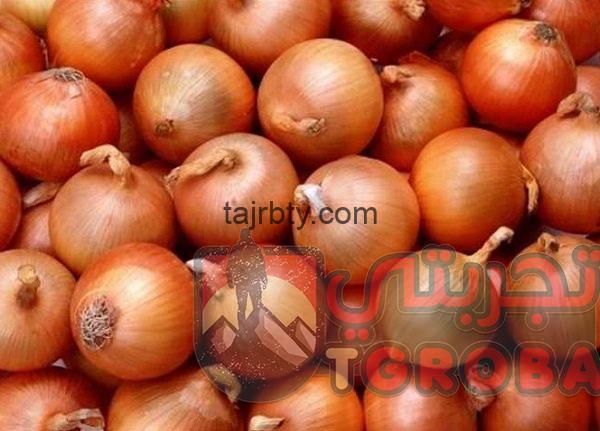 تجربتي مع قشر البصل تجربتي