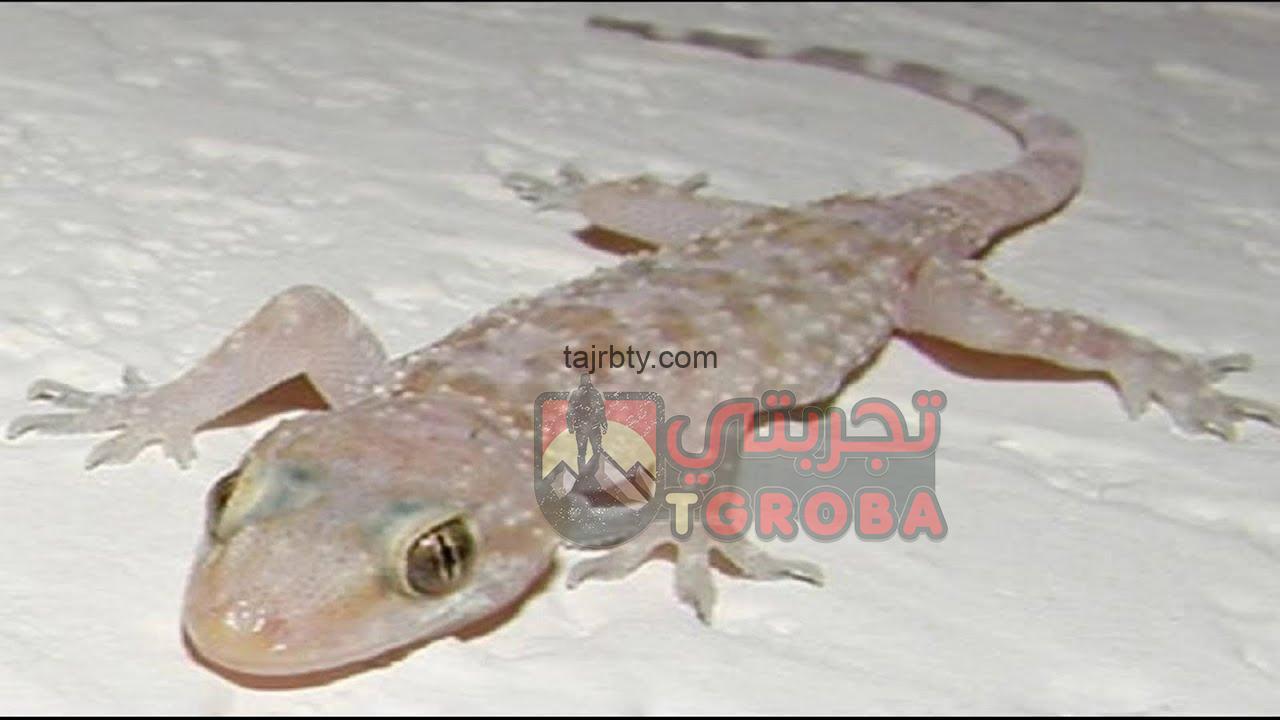 التخلص من البرص