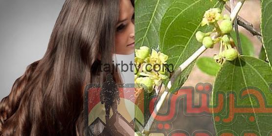 تجارب مجموعة Hairtox تجربتي