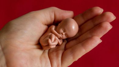 Photo of الإجهاض عن طريق اليد